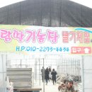 주식회사 나드리투어 네이버블로그