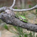 (주)학림 이미지