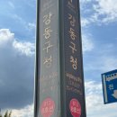 바이크 장갑 드디어 샀다! 와우모터스에서 발견한 리버티 061 라이브 투 라이드 메쉬 장갑 내돈내산 후기
