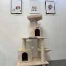 멍냥싸롱 이미지