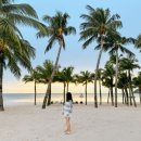 사오농장 이미지