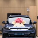청주오토컬러 | [청주 BYD] 아토3 플러스 출고 후기｜BYD 씰에 이어 두 번째 선택, 42호 출고