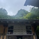 다듬잇돌세탁 | [경남/하동] 당일치기: 배달성전삼성궁, 스타웨이하동, 화개장터