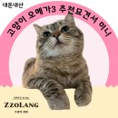 [내돈내산] 묘견서 오메가3 미니 6개월 급여 후기 + 알약 급여 꿀팁