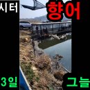 그늘막1 Daum카페
