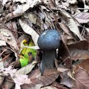 서구-02-30 이미지