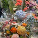 양재시장 | 양재꽃시장 주말 방문 후기 영업시간 주차정보 꿀팁