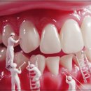 다산센트럴치과교정과치과의원 이미지