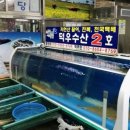 덕우수산 이미지