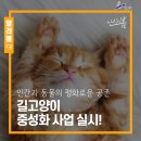 웰니스동물병원(고잔점) 이미지