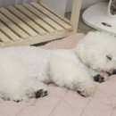 네일시즈닝