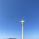 하궁목장 | 대관령 양떼목장 [ 대관령 / 양떼목장 / 삼양라운드...삼양목장 / 양몰이공연 / 삼양라운드힐 /솔직후기 ]