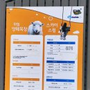 케이원목장 | 소노벨 비발디파크 앤트월드, 곤돌라, 하늘양떼목장 이용후기