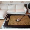 한일의료기상사 이미지