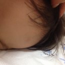 자연의향기에코미스트 | 후기 - [에코미스트] 천연살충제 Insect Killer