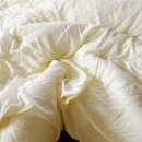 [내돈내산 후기] 아밍 씨엘로 60수 텐셜모달 차렵이불 솔직 사용기 겨울·간절기 모두 OK