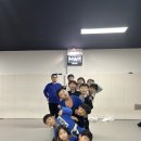 팀매드민락