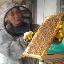 열매농장 이미지