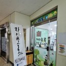 스칸디아모스 카네이션 바구니 만들기 | 직접 만들어서 더 특별한 카네이션바구니 만들기 원데이클래스 수업 후기