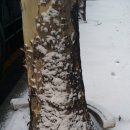 부천로보파크 이미지