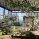 청룡동-36 이미지