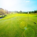 동아골프 이미지