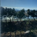 맛젤베이커리 | 강원도 강릉디저트카페 내돈내산 순두부젤라또 2호점