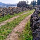 내고1농로 이미지