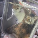 흥덕종합동물병원 이미지