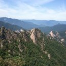 도리초등학교 이미지