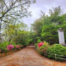 완산-124 이미지