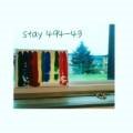 stay-494-43 이미지