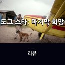 도그스토리 | 영화 <도그 스타: 마지막 희망> 리뷰 * 리들리 스콧이 그린 멸망 그 이후, 생존 그 이상의 가치란...