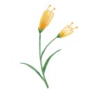 마포초교병설유치원 이미지