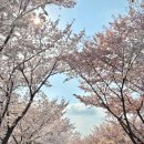 허밍웨이길 | 고터맛집| 딤딤섬 센트럴시티점, 찾아가는 방법&amp;주말 웨이팅 후기