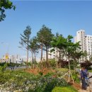 평택시청 중앙광장1 이미지