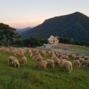 우천목장 이미지