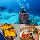 퍼플오션 | 세부 체험다이빙 막탄 다이빙샵 추천 퍼플오션 이용 후기