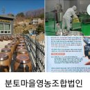 콩익는 분토 이미지