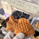 여수하늘목장 | [공지] 2025년 못다한 이야기, 그리고 2026년