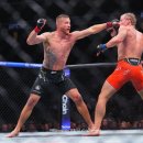 UFC 경기분석 보는 법! 승패를 결정하는 핵심 포인트 총정리
