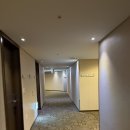 황제약국 | [서울/공덕]롯데시티호텔마포ㅣ실내수영장횟수제한Xㅣ실내수영장이용복장ㅣ내돈내산호캉스후기
