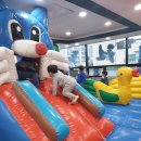 상지유치원 이미지