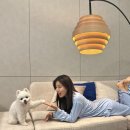 몽구네