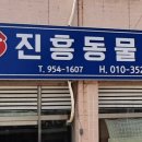 대가야동물병원 티스토리