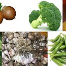 현강농장 이미지