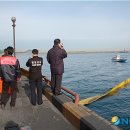 동해-단속-49 이미지