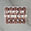 원천농장 | 난각번호 1번 무항생제 유정란 추천, 24개월 아기 유아식 계란으로 꾸준히 먹여본 솔직 후기