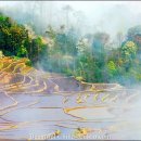 하늘계단 이미지