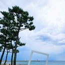 강현면사무소 이미지